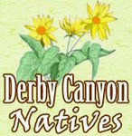 Derby Canyon Natives logo